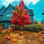 Spirits and Superstitions A Friday the 13th Tour - Practical Details and What They Mean for You