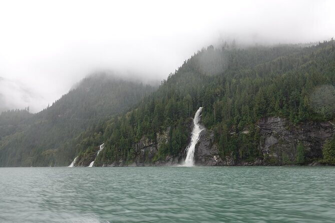 Spring Bear and Waterfall Tour - Waterfalls and Dense Woodland