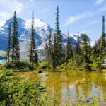 Squamish-Lillooet: Joffre Lakes Guided Hike - Who Should Consider This Tour?