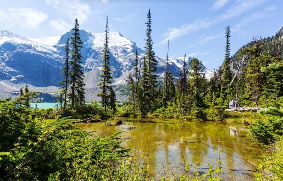 Squamish-Lillooet: Joffre Lakes Guided Hike - Who Should Consider This Tour?