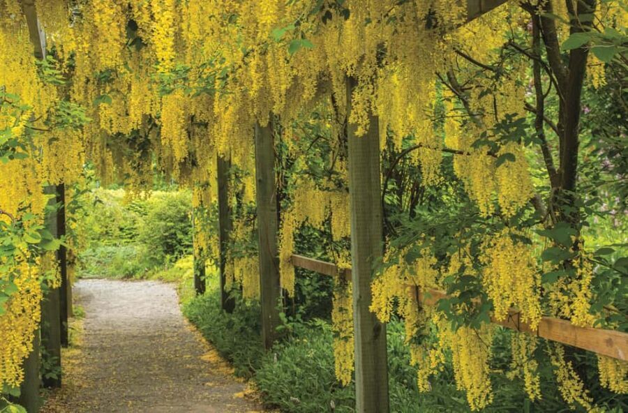 St. Andrews New Brunswick: Kingsbrae Garden Admission Ticket - FAQ