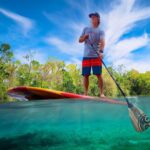 St. Augustine: Dolphin and Manatee Paddle or Kayak Tour - The Guide Experience