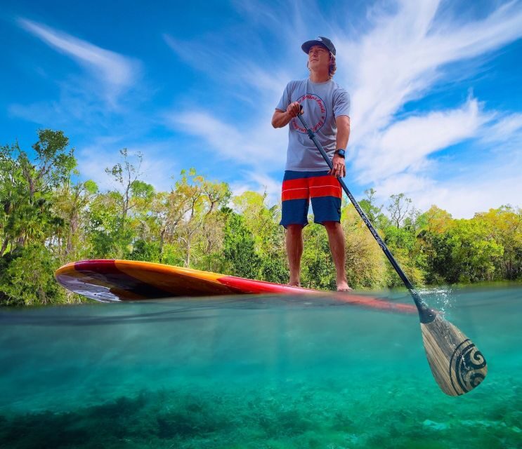 St. Augustine: Dolphin and Manatee Paddle or Kayak Tour - The Guide Experience