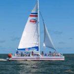 St. Augustine: Dolphin Watching Harbor Tour with Drinks - The Value of This Experience