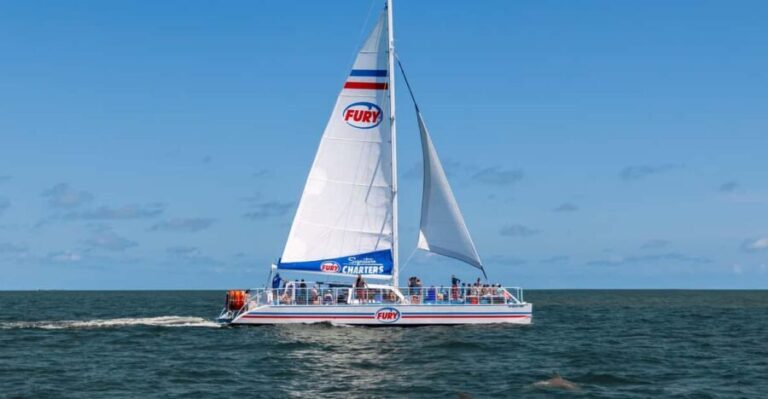 St. Augustine: Dolphin Watching Harbor Tour with Drinks - The Value of This Experience