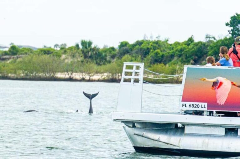 St. Augustine: Expert-Led Dolphin & Wildlife Eco Adventure - What to Expect from This Wildlife Eco-Adventure