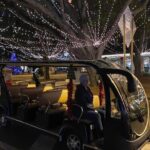 St Augustine Shared Golf Cart Tour - The Experience of Riding a Golf Cart