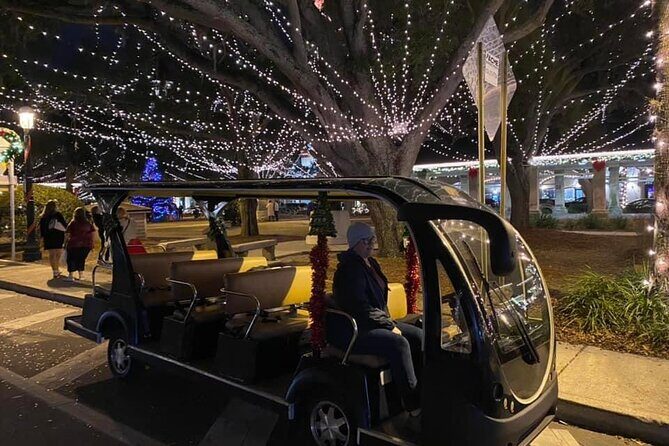 St Augustine Shared Golf Cart Tour - The Experience of Riding a Golf Cart