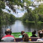 St. Augustine: St. Johns River Airboat Safari with a Guide - The Wildlife and Landscape You’ll Encounter