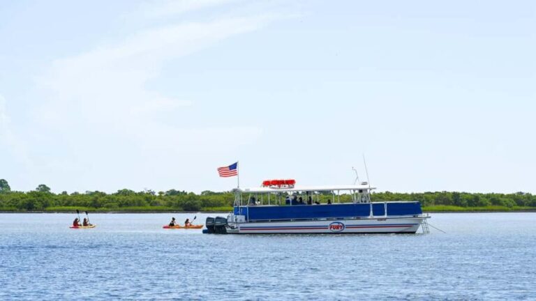 St. Augustine Wildlife Adventure: Boat Cruise & Kayak Tour - The Value of This Experience
