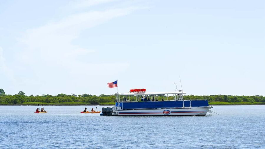 St. Augustine Wildlife Adventure: Boat Cruise & Kayak Tour - The Value of This Experience