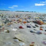 St. Petersburg, FL: 3-Hour Eco Tour with Island Hopping - The Value of a Private, Customizable Tour