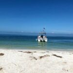 St. Petersburg, FL: Private 5-Hour Egmont Key Boat Tour - Who Will Love This Tour?