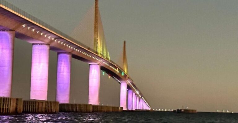 St. Petersburg, FL: Sunset & Skyway Bridge Lights Tour - What to Expect: Pros and Cons
