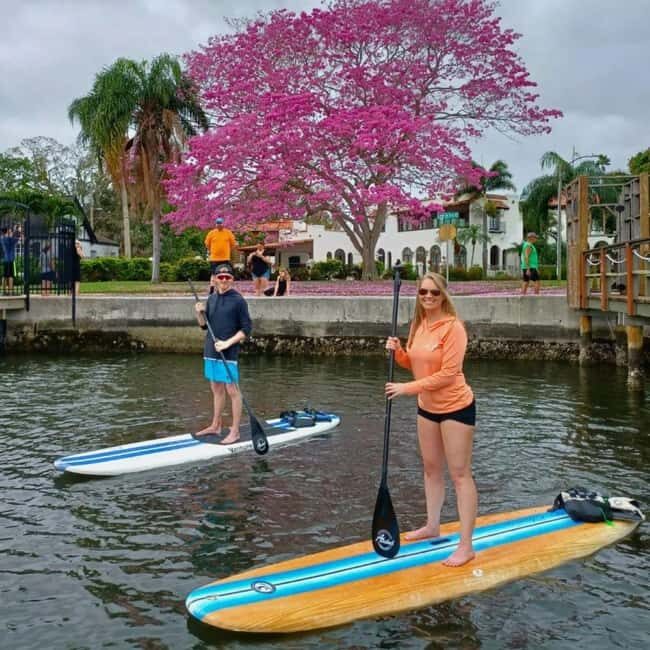 St. Petersburg: Paddle Board Tour with Wildlife Spotting - Who Is This Tour For?