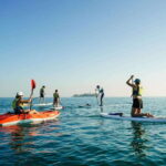 Stand-up Paddle & Kayak Tours in Veracruz - The Highlights of the Experience
