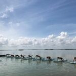 Stand Up Paddle Yoga Class at Private Lagoon - What’s Included and How It Works