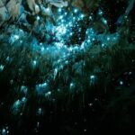 Starburst Cathedral deep inside Milky Way Glowworm Cave - The Itinerary Breakdown