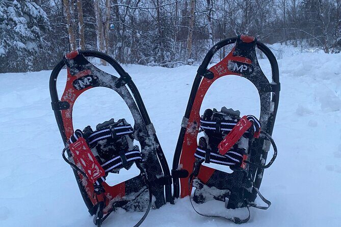 Starlight Snowshoe Adventure in Alaska - The Value of the Experience