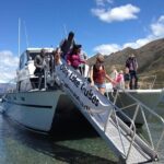 Stevensons Island Cruise and Nature Walk - Refreshments and Return