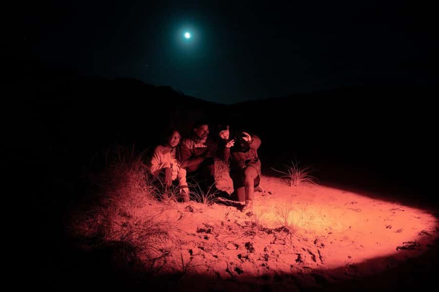 Stewart Island: Wild Kiwi Experiences - Who Is This Tour Best For?