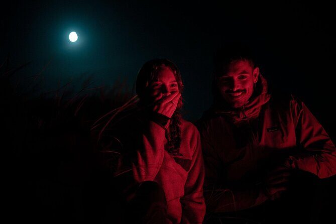 Stewart Island Wild Kiwi Experiences - Why This Tour Might Be Perfect for You