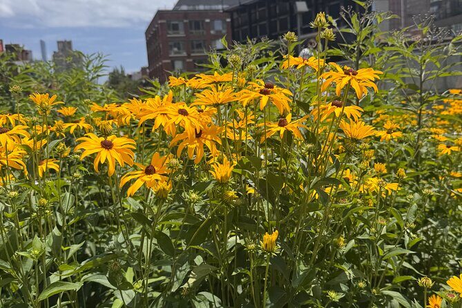 Street Art: Power Politics & Place - Final Thoughts