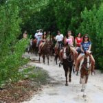 STROLL the Jungle Trails on a HORSE. Includes Transportation and Equipment. - The Itinerary in Detail