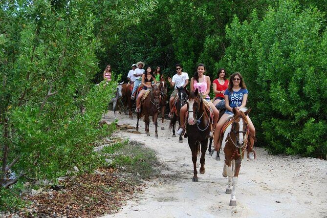 STROLL the Jungle Trails on a HORSE. Includes Transportation and Equipment. - The Itinerary in Detail