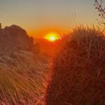 Stunning Sunset or Sunrise Guided Hiking Adventure in Phoenix - FAQs