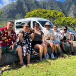 Stunning views of Oahu. East to North Shore on a scenic drive - Who Should Consider This Tour?