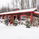 Sugar Shack Full Day Tour from Montreal - What we love about the experience