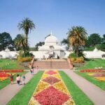 Summer of Love San Francisco Guided eBike Tour Golden Gate Park - What Travelers Are Saying