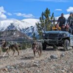 Summer Sled Dog Remote Yukon Camp & Summit Tour - The Practical Details