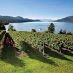Summerland: Full-Day Wine Tour with Tastings - The Educational, Fun Aspect of the Tour