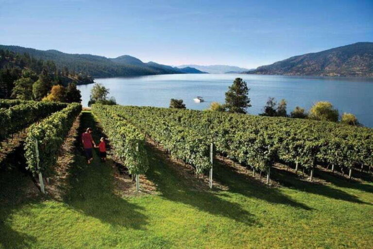 Summerland: Full-Day Wine Tour with Tastings - The Educational, Fun Aspect of the Tour
