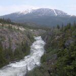 Summit Experience & Yukon Suspension Bridge Tour - Who Should Consider This Tour?