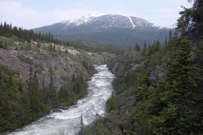 Summit Experience & Yukon Suspension Bridge Tour - Who Should Consider This Tour?