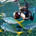 Sunlover Reef Cruises Cairns Great Barrier Reef Experience - The Extras & Optional Add-Ons