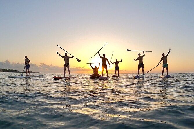 Sunrise Paddle Surf - The Real Voices of Past Participants