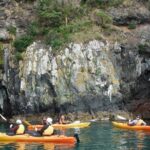 Sunrise wildlife sea kayaking in Akaroa marine reserve - Frequently Asked Questions
