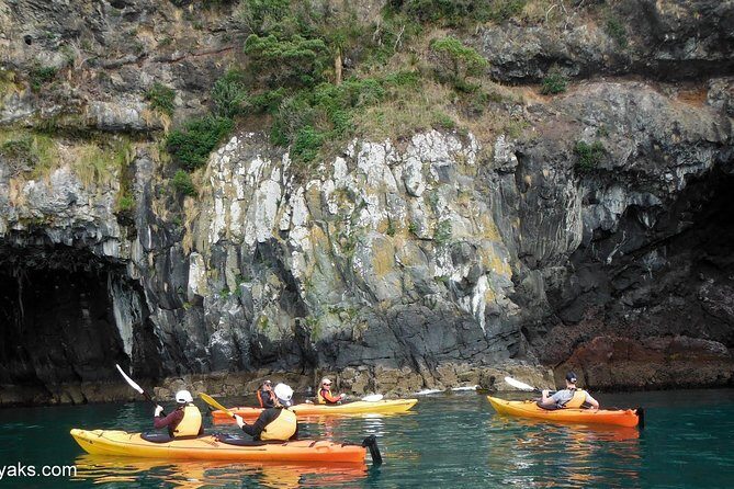 Sunrise wildlife sea kayaking in Akaroa marine reserve - Frequently Asked Questions