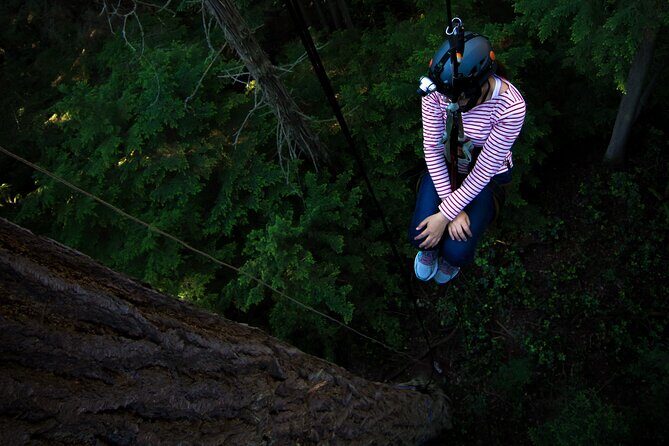 Sunset Canopy Climb on Lopez Island - FAQs