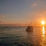 Sunset Catamaran to Isla Mujeres + Transportation from Cancún - Practical Details and Traveler Tips