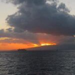 Sunset Cocktail Cruise Including Drinks and Appetizers West Oahu - Who Will Love This Tour?