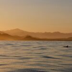 Sunset Cruise in San Jose del Cabo - The Value of the Price