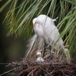 Sunset Cruise leaving from historic Isle of Hope Marina - Final Thoughts: Is It Worth It?
