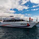 Sunset Cruise with the Whales from Kawaihae Harbor - Who Is This Tour Best For?