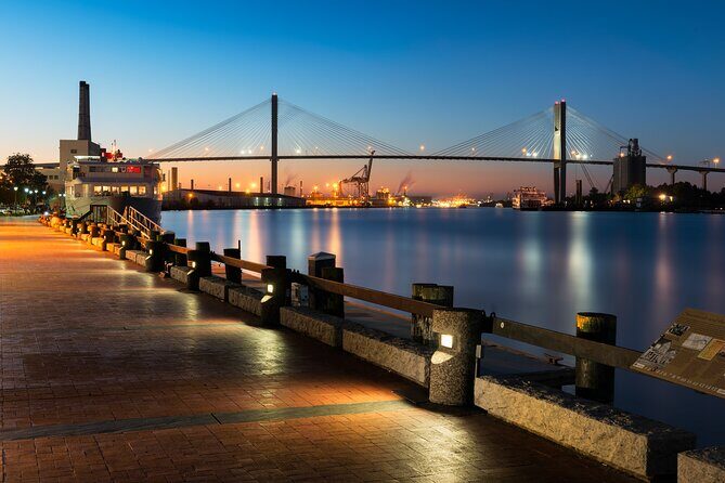 Sunset Dolphin Eco Tour - The Value for Money