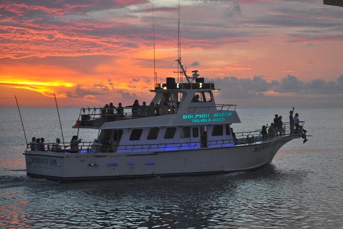 Sunset Dolphin Watch Tour - What Is the Itinerary Like?